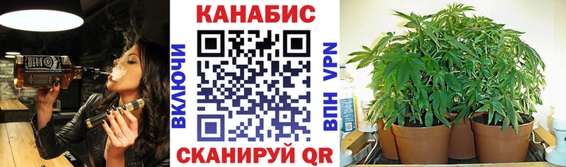 Купить наркотики сайты Ржев Псилоцибиновые грибы  АМФ  ГАШ  Мефедрон  Alpha-PVP 