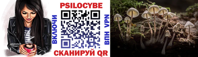 OMG онион  Ржев  Галлюциногенные грибы мицелий 